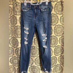 Judy Blue Skinny Jeans size 9/29